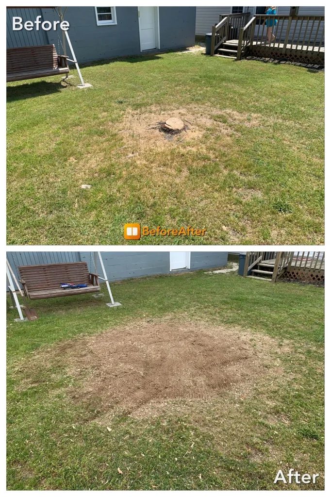 Before and after stump grinding — Backyard lawn restoration