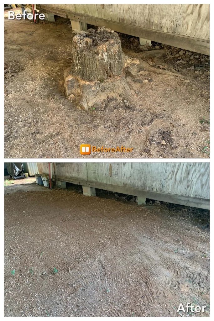 Before and after stump grinding — Tight access under structure