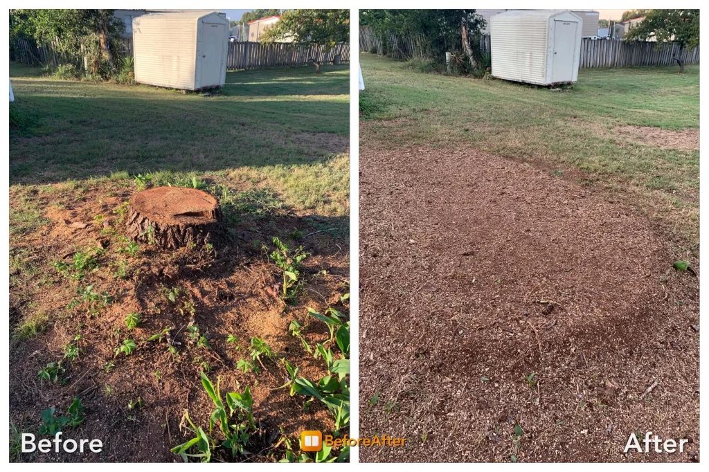 Before and after stump grinding — Shed-side stump removal