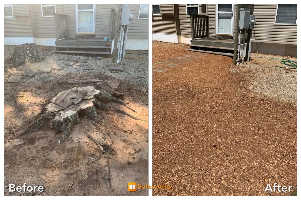 Before and after stump grinding — Front entry makeover
