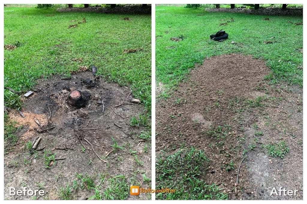Before and after stump grinding — Lawn stump, minimal disturbance